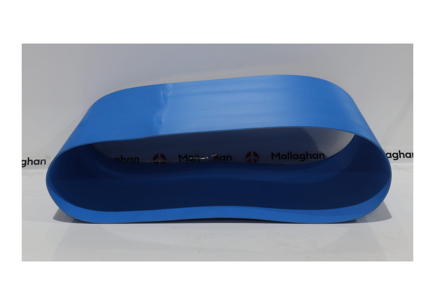 BELT, BLUE LG 1260MM X 300MM ENDLESS