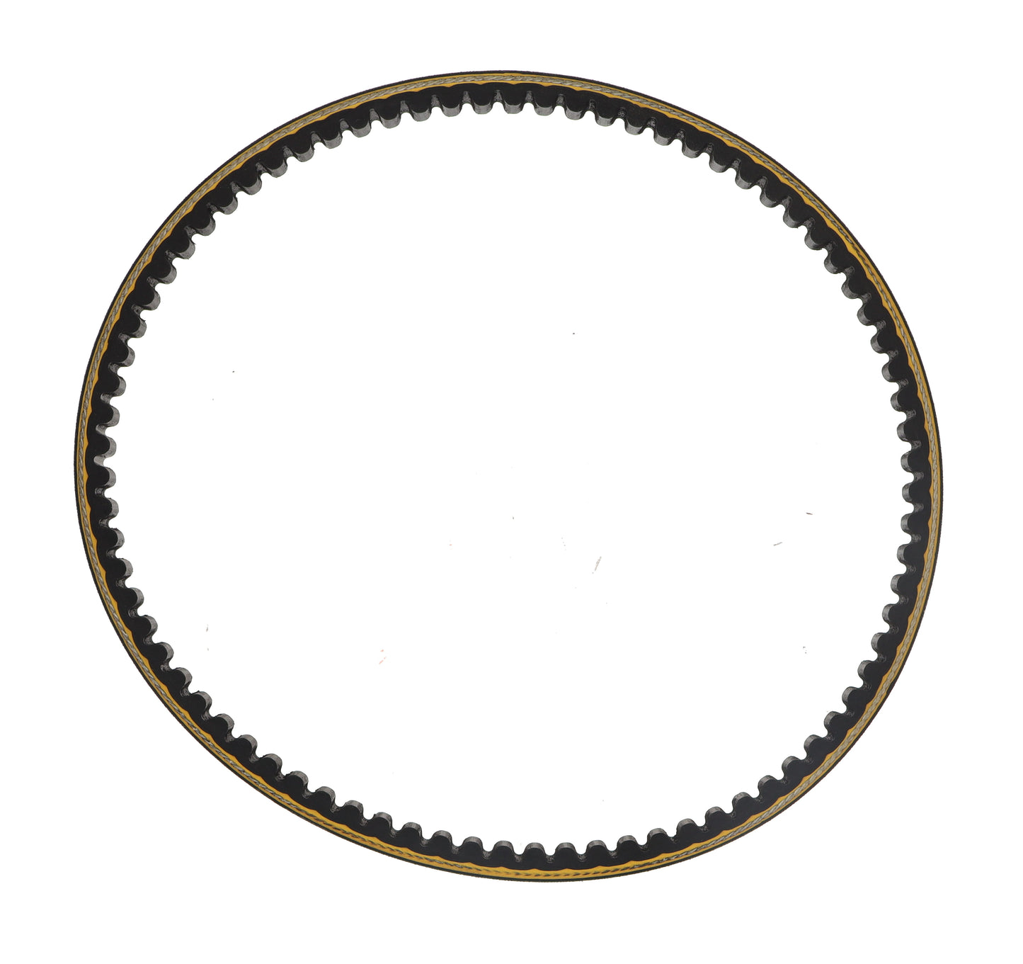 BELT, FAN COGGED