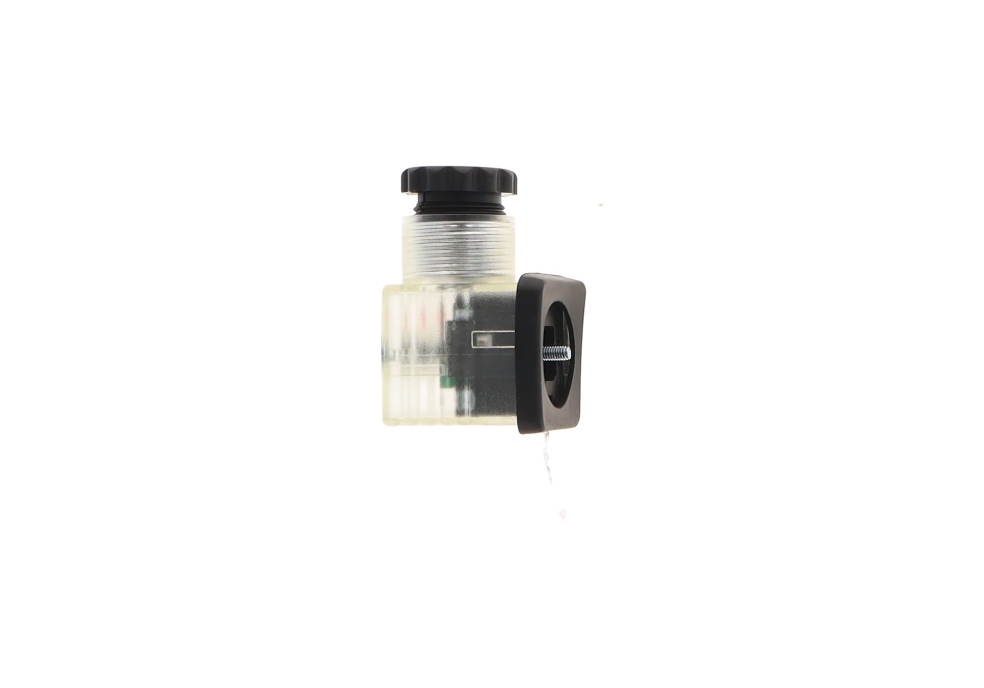 LIGHT, 24V LED DIN PLUG