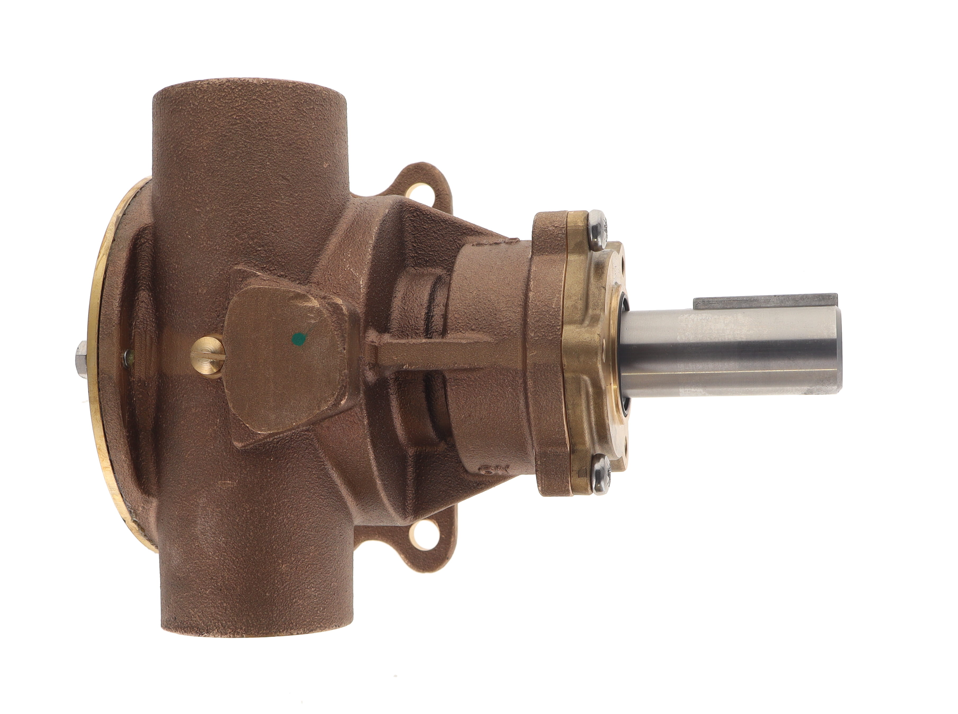 PUMP, PEDESTAL 1-1/2 INCH W/RUBBER IMPELLER