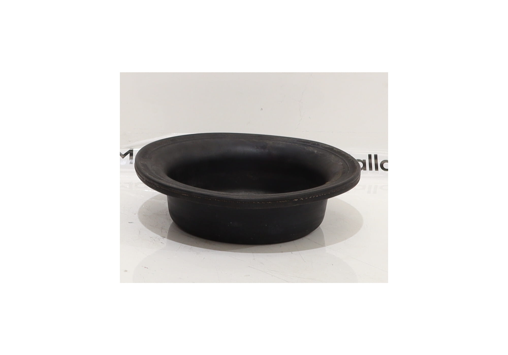 DIAPHRAGM