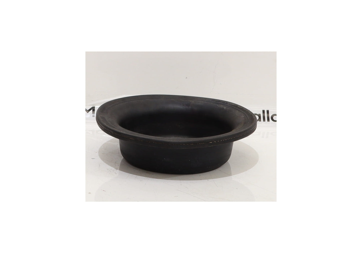 DIAPHRAGM