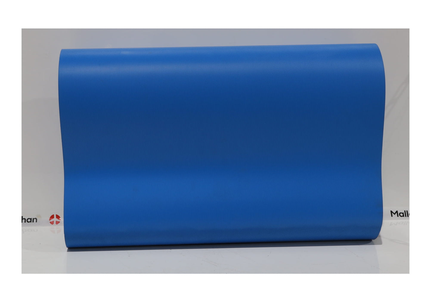 BELT, BLUE 1.018MTS X 650MM WIDE ENDLESS