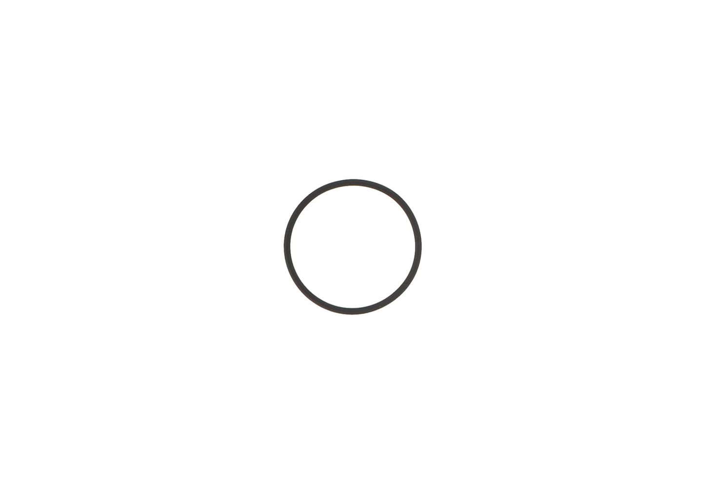 O-RING