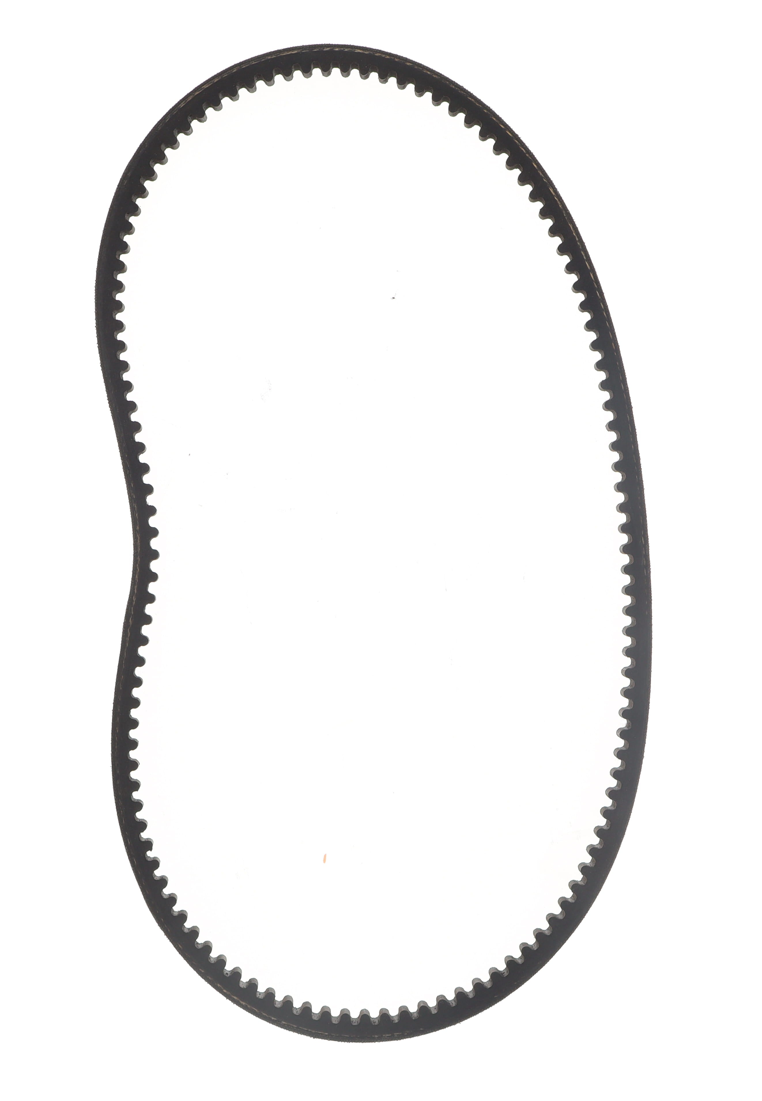 BELT, ALTERNATOR COGGED