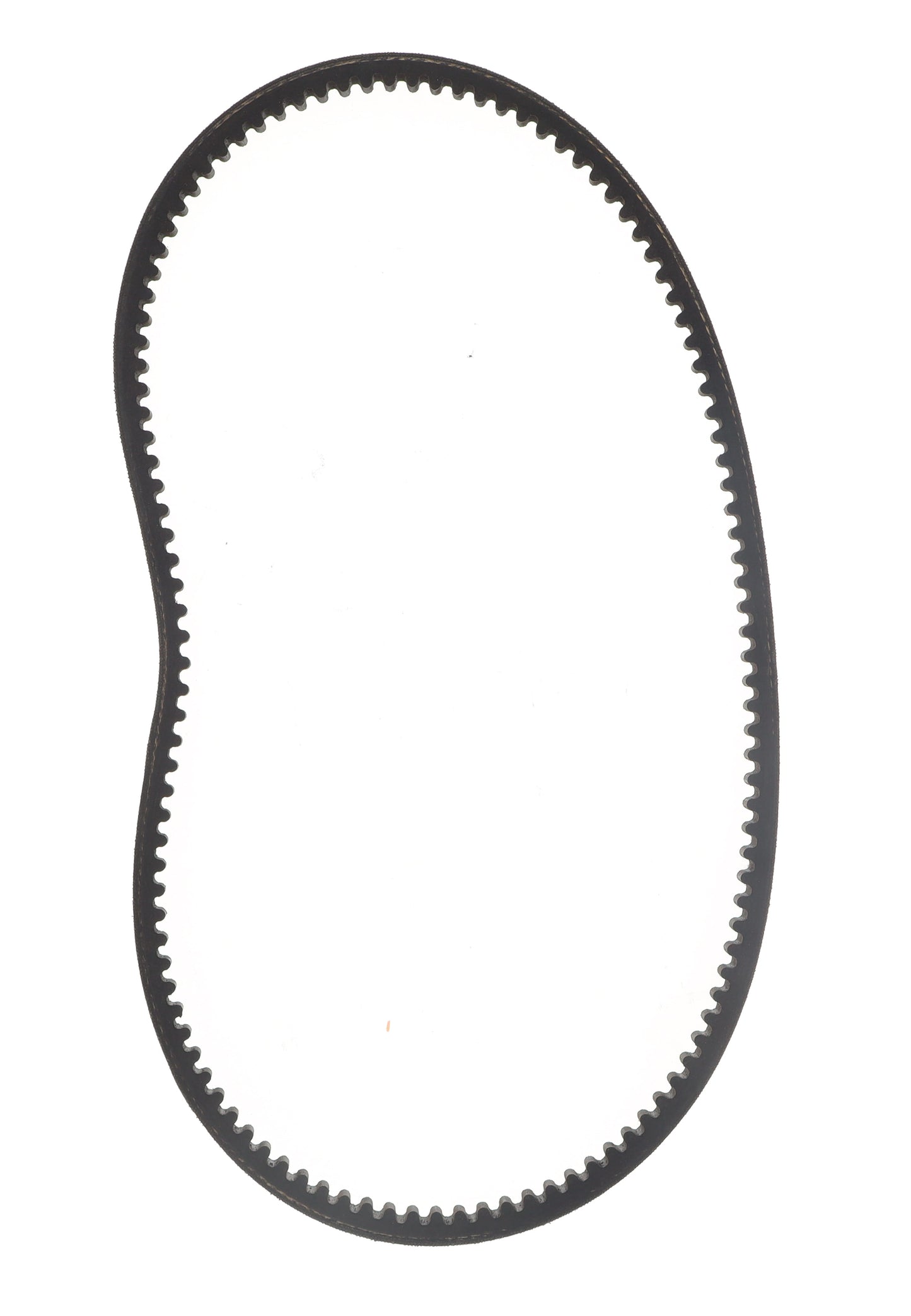 BELT, ALTERNATOR COGGED