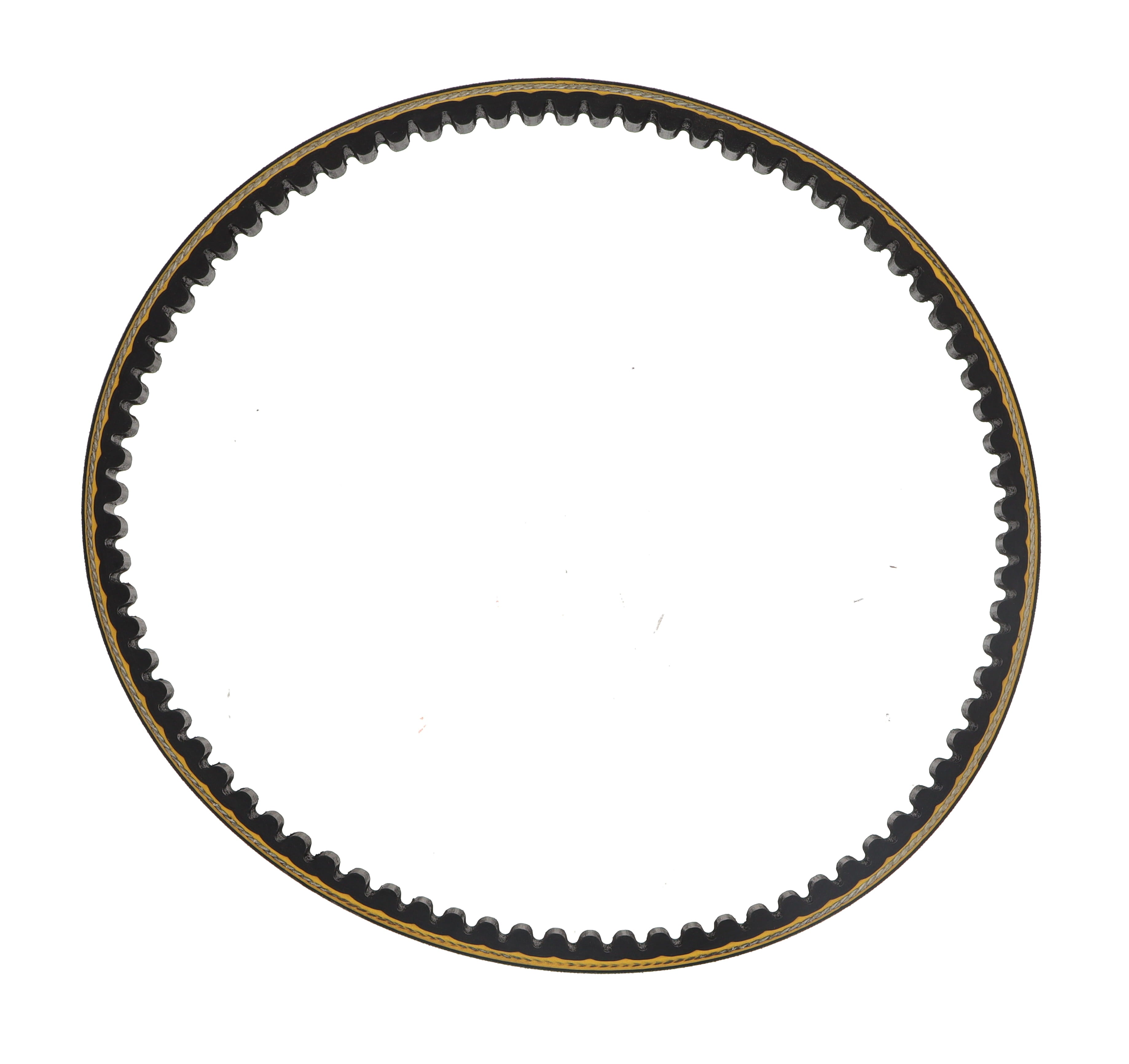 BELT, FAN COGGED