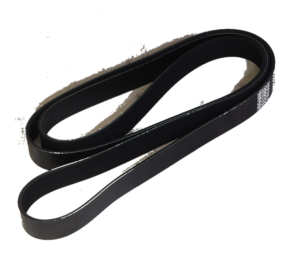BELT, BRANDED
