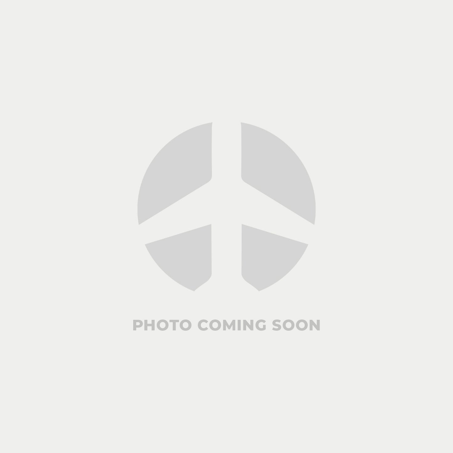 ABSORBERS, SHOCK